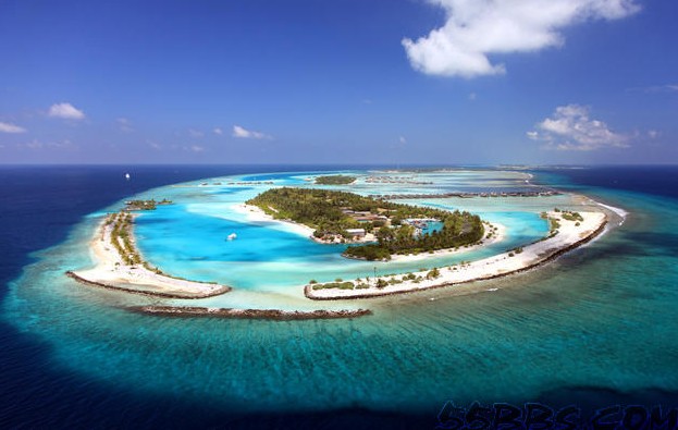 8��25��������������ɳ̲�����м�5999Ԫ/�ˡ�