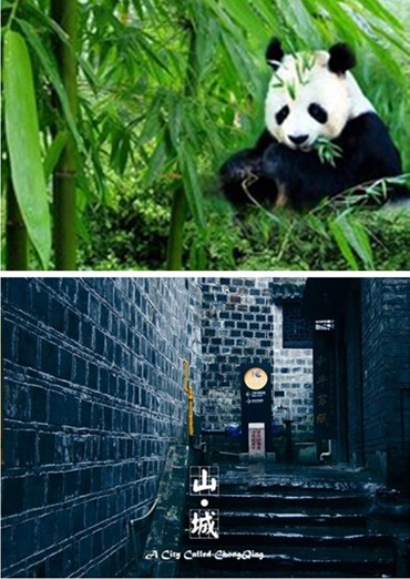 9��6����������֮ҹ��������1999Ԫ/�ˡ�